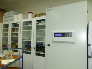 Les équipements du laboratoire avec une armoire à -80°C