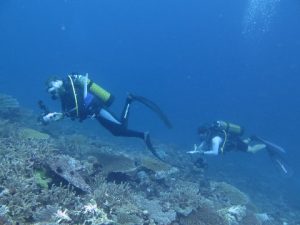 Plongeurs sur la barrière de corail lors de l’inventaire des espèces et milieux marins remarquables pour les ZNIEFF à Mayotte (Crédits photo : Alexandra Gigou / Agence des aires marines protégées) 