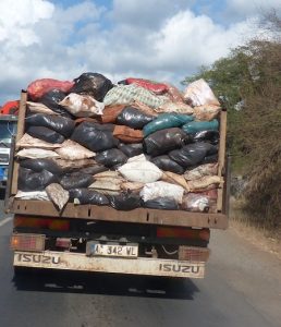 Les camions de ramassage des déchets de Koungou