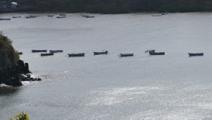 Les barques de pêcheurs sont sagement restées à l'ancre depuis hier à Koungou