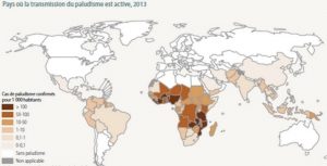 Le paludisme dans le monde (Source: OMS)
