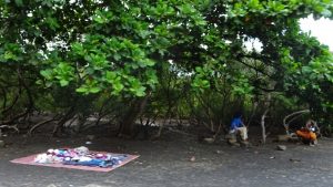 Les vendeurs illégaux installés dans la mangrove de Kawéni