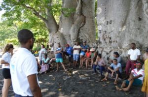 A l'ombre des baobabs de Saziley, une rencontre pour le développement durable de Mayotte