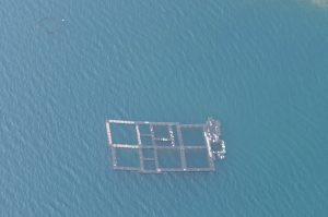 Les tables d'aquaculture sur le lagon