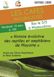 Café Naturalistes Une histoire évolutive des reptiles et amphibiens de Mayotte