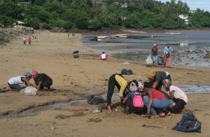 Nettoyage de la plage de Sada (©Naturalistes)
