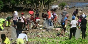 Opération de nettoyage de la mangrove de Majicavo par les élèves de 2nde