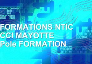 NTIC formation CCI