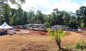 Bientôt à Coconi, un centre de production, de transformation et de recherche ouvert aux touristes (Photos: CD)