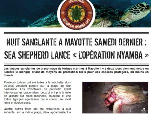 Sea Shepherd: "Nuit sanglante à Mayotte", publié sur le site de l'ONG