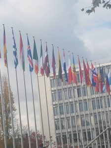 47 pays au Conseil de l'Europe