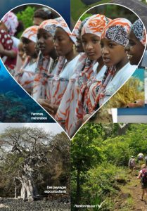 Guide OM page Mayotte